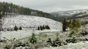 Schnee im Frühling: So entsteht das Wetterphänomen