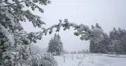 Schnee im Mai: Passt zu den Eisheiligen – bleibt es so frisch?