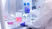 Schweizer Studie: Hantavirus überlebt Jahre im Sperma