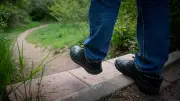 Serie brutaler Überfälle auf Waldweg in Schwerin: Opfer berichtet von Angst