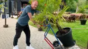 Sommersaison im Weissenfelser Bad startet im Juni