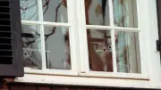 Stahlkugel durchschlägt Fenster: Polizei ermittelt wegen versuchten Tötungsdelikts
