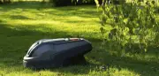 Stiftung Warentest: Gute Mähroboter müssen nicht teuer sein