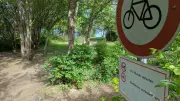 Streit am Augustabad: Wildpinkler, Raser und Radfahrer sorgen für Ärger