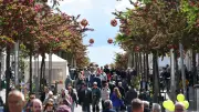 Strelitzienfest in Neustrelitz: Blumenfest zum 293. Stadtgeburtstag