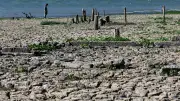 Super-El-Niño: Zwei brutale Hitze-Sommer drohen