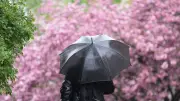 Temperatursturz in Deutschland: Gewitter und Regen ab Samstag
