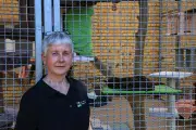 Tierheim Wittenberg: Appell an Tierfreunde beim Tag der offenen Tür