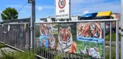 Tiger-Ausbruch bei Leipzig: Haltung verstieß gegen Auflagen