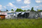 Tigerausbruch bei Leipzig: Tierschützer bieten Hilfe für Großkatzen an