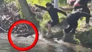 Tollwütiger Biber attackiert Jungen in den USA