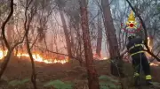 Toskana: Waldbrandlage entspannt sich, Evakuierte kehren zurück