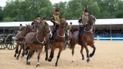 Tragödie in Windsor: Soldat stirbt bei Royal Windsor Horse Show