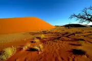 Trauer um Manager-Familie nach Flugzeugabsturz in Namibia