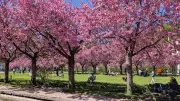 Traumwetter am ersten Mai-Wochenende: Temperaturen höher als erwartet