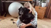 Ukrainische ESC-Kandidatin: Fünf Monate ohne ihren Hund