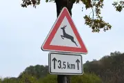 Unfall in Varel: Sieben Verletzte nach Ausweichmanöver vor Rehen