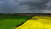 Vatertag im Regen: Trübe Aussichten für Brandenburg