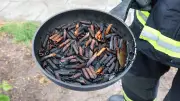 Vergessene Nudeln lösen Feuerwehreinsatz in Hamburg aus