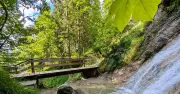 Vier idyllische Wasserfall-Wanderungen in Oberbayern