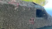 VW-Bus nach 22 Jahren aus See geborgen: Muscheln überwuchern Fahrzeug