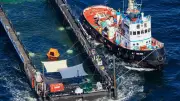 Wal-Rettung: Reederei wehrt sich gegen Vorwürfe nach Freilassung