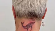 Wal-Tattoos: Tierschutz zum Aufkleben auf der Haut