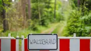Waldbrand bei Feldberg: Kriminalpolizei ermittelt wegen Zigarettenkippe