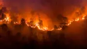 Waldbrand bei Jüterbog: Feuer auf 26 Hektar ausgeweitet