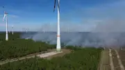 Waldbrand bei Jüterbog: Stiftung setzt auf Regen zur Eindämmung