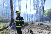 Waldbrand in Böhmischer Schweiz: Feuer nicht unter Kontrolle, Hoffnung auf Regen