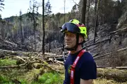 Waldbrand in Böhmischer Schweiz gelöscht: Ermittlungen laufen