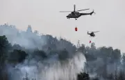 Waldbrand in Böhmischer Schweiz: Hubschrauber im Löscheinsatz