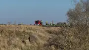 Waldbrandgefahr steigt: Stufe 3 in der Region Demmin ausgerufen