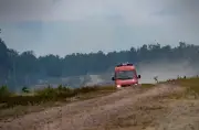 Waldbrandschutz: Wie Schutzstreifen Feuer aufhalten sollen