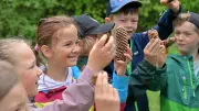 Waldwoche in Aschersleben: Grundschüler entdecken Natur mit allen Sinnen