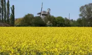 Warmes Wochenende in Mitteldeutschland: Bis zu 23 Grad erwartet