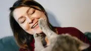 Warum Katzen plötzlich ins Gesicht greifen: Sanfte Pfote mit Botschaft
