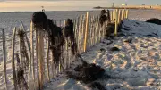 Warum Rituale den Alltag erleichtern: Ein Morgen am Meer
