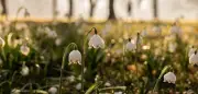 Wechselhaftes Wetter: Norden kühl, Süden mit Gewittern