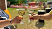 Weinfrühling in Sandersdorf: Drei Tage Genuss und Kultur