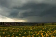 Wetter: Bis zu 27 Grad am Sonntag, aber Gewitter möglich