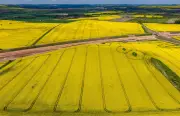 Wetter in Sachsen-Anhalt: Sonniger und trockener Trend