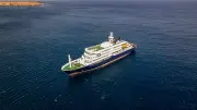 WHO bestätigt: Drei Tote nach Hantavirus-Ausbruch auf Kreuzfahrtschiff