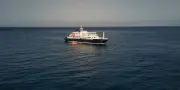 WHO evakuiert drei Hantavirus-Patienten von Kreuzfahrtschiff