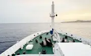 WHO: Hantavirus auf Kreuzfahrtschiff von Mensch zu Mensch übertragen