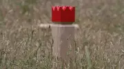 Wikingerschach-Turnier in Sarow: Kubb wird zum Familienhit
