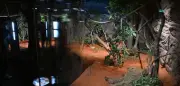Wilhelma-Gebäude nach Angriffen auf Kinder wieder geöffnet