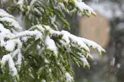 Wintereinbruch im Mai: Brocken und Harz schneebedeckt