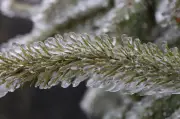 Winterlicher Mai: Schnee zu den Eisheiligen in Mitteldeutschland